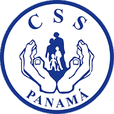 CSS Logo